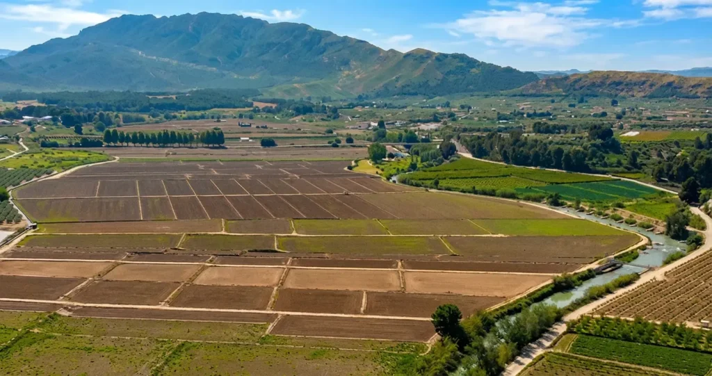 Campos de arroz en Calasparra